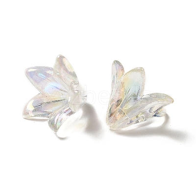 Transparent Acrylic Bead Caps LS-X-OACR-H016-05A-1