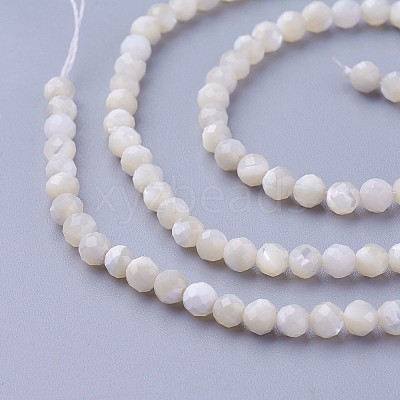 Natural Shell Beads Strands X-G-F619-27-3mm-1