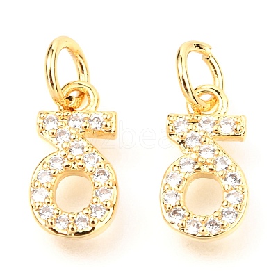 Brass Micro Pave Cubic Zirconia Charms ZIRC-O037-21G-1