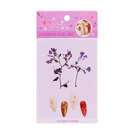 3D Dried Flowers Nail Art Decorations MRMJ-S012-049A-1