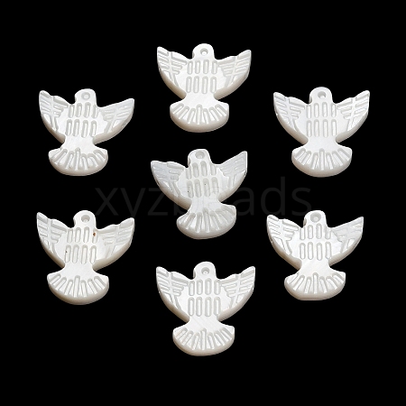 Natural Freshwater Shell Beads SH-CBA93AD-10-1