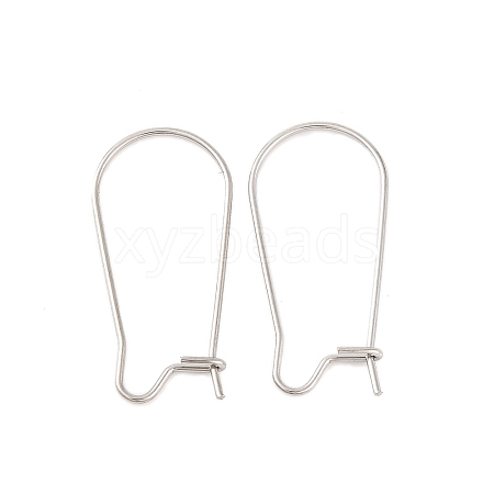 Non-Tarnish 316 Surgical Stainless Steel Hoop Earrings Findings Kidney Ear Wires X-STAS-E009-5-1