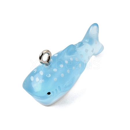 Transparent Acrylic Pendants AC-CBABCB3-02-1