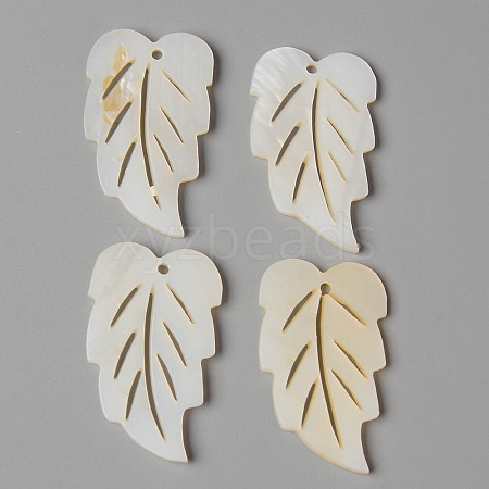 Natural Freshwater Shell Pendants SHEL-N026-81-1