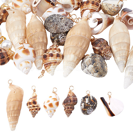 30Pcs 5 Styles Natural Mixed Shell Pendants PALLOY-GO00046-1