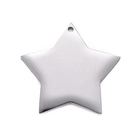 Non-Tarnish 304 Stainless Steel Pendants STAS-F254-07A-P-1
