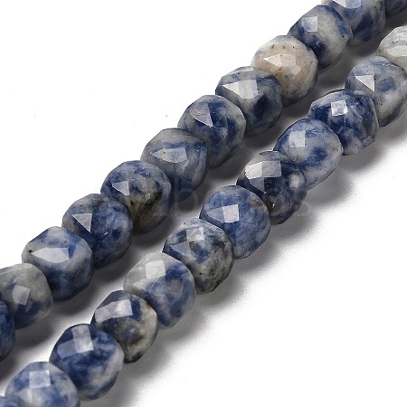 Natural Blue Spot Jasper Beads Strands G-H078-C20-01-1