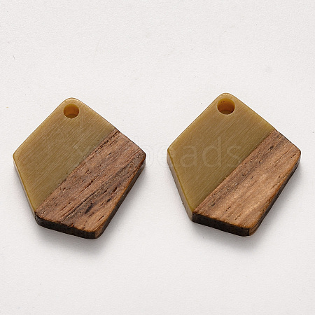 Resin & Walnut Wood Pendants X-RESI-S384-003A-A02-1