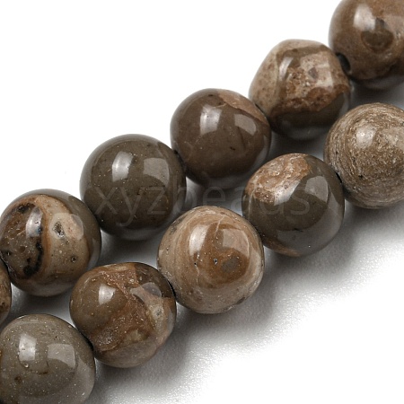 Natural Map Stone/Picasso Stone Beads Strands G-R494-A24-02-1