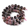 Natural Rhodonite Beads Strands G-H057-A12-01-3