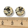 Natural Dalmatian Jasper Beads G-Q173-03A-24-3