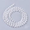 Faceted Glass Beads Strands X-GLAA-A036-F22-2