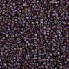 TOHO Round Seed Beads X-SEED-TR08-0166BF-2