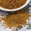 MIYUKI Delica Beads SEED-MY11-DB0272-1