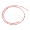 Natural Freshwater Shell Beads Strands SHEL-P017-01A-09-2