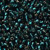 TOHO 6/0 Round Beads X-SEED-TR06-0027BD-4