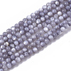 Natural Freshwater Shell Beads Strands BSHE-T009-01-2