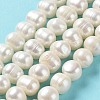 Natural Cultured Freshwater Pearl Beads Strands PEAR-E019-08-2