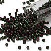 TOHO 6/0 Round Beads SEED-TR06-2204-1