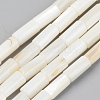 Natural Freshwater Shell Beads Strands SSHEL-R048-006A-1