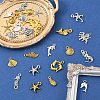 2Bags 2 Colors Tibetan Style Alloy Pendants FIND-YW0007-75-4