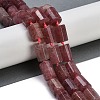 Natural Strawberry Quartz Beads Strands G-G162-D06-02-2