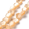 Cat Eye Beads Strands CE-C006-03B-2