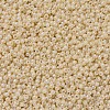MIYUKI Round Rocailles Beads SEED-G007-RR0487-3