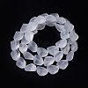 Transparent Frosted Glass Beads Strands FGLA-S001-02F-2