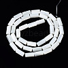 Natural Trochid Shell/Trochus Shell Beads Strands SSHEL-S266-020A-04-2