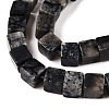 Natural Black Netstone Beads Strands G-T139-6x6-24A-3