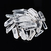 Natural Quartz Crystal Beads G-S299-115-1