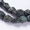 Natural Kambaba Jasper Beads Strands G-K267-08A-3