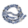 Natural Blue Spot Jasper Beads Strands G-F817-A12-01-4