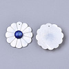 Natural Freshwater Shell Pendants SHEL-S276-71-3