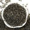 Transparent Inside Colours Glass Seed Beads SEED-A032-04M-2