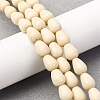 Natural Fossil Beads Strands G-F808-D01-01-1