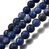 Natural Sodalite Beads Strands G-E110-4mm-3-2