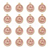 Golden Plated Alloy Enamel Charms ENAM-S118-07C-2