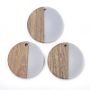 Resin & Walnut Wood Pendants RESI-T023-15A-1