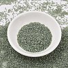 MIYUKI Delica Beads SEED-J020-DB2378-3