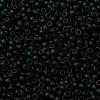 MIYUKI Round Rocailles Beads SEED-X0055-RR0156F-3