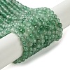 Natural Green Strawberry Quartz Beads Strands G-Z034-A02-03-1