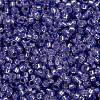 MIYUKI Round Rocailles Beads X-SEED-G009-RR0649-4