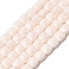 Opaque Glass Beads Strands LS-GLAA-L050-C20-1