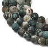 Natural Tree Agate Beads Strands G-T106-038-6