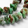 Natural Serpentine Bead Strands G-H044-07-3