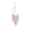 Iron Wire Woven Web/Net with Feather Pendant Decorations AJEW-B017-30-2