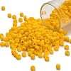 TOHO 6/0 Round Beads X-SEED-TR06-0042BF-1