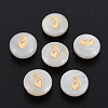 Natural Freshwater Shell Beads SHEL-S278-065-4